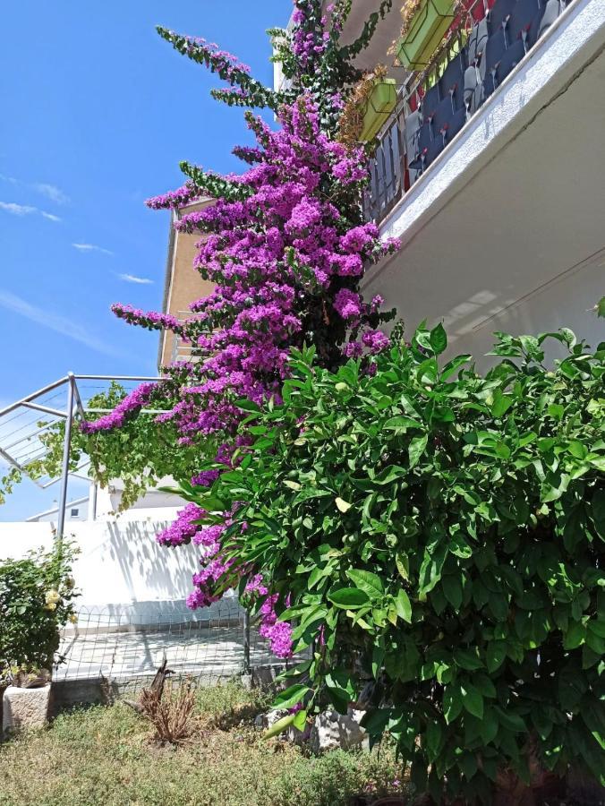 New! Apartment Terrazen Split - Free Car Parking Εξωτερικό φωτογραφία